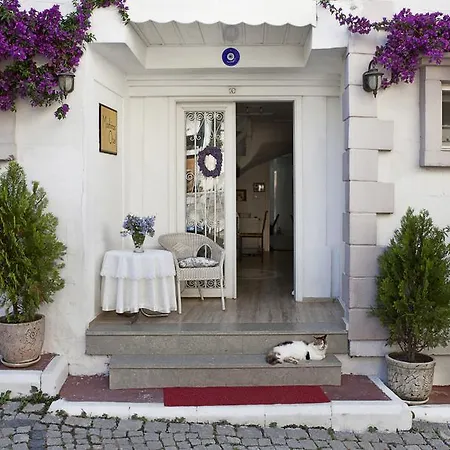 Hotel Moshinos Ayvalik