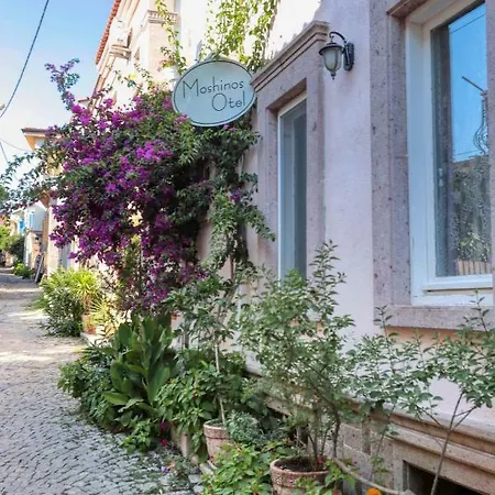 Moshinos Ayvalik